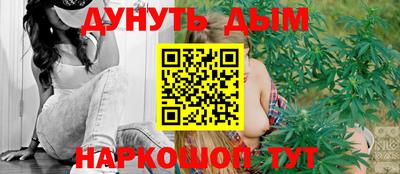СК Кингисепп