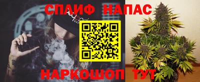 СК Кингисепп