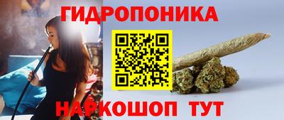 СК Кингисепп