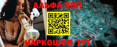 СК Кингисепп
