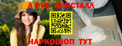 СК Кингисепп