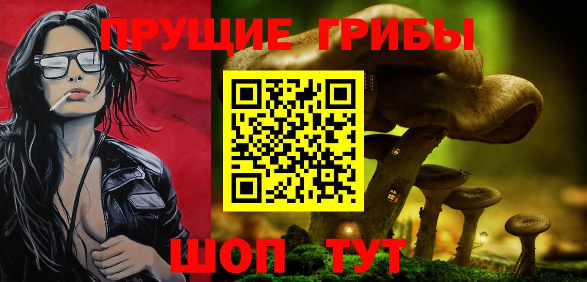 Конаково  Псилоцибиновые грибы Psilocybine cubensis  купить  сайты  Вход с VPN 